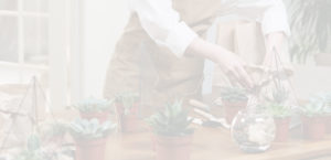 L’ART FLORAL MODERNE, LE COME-BACK DU TERRARIUM